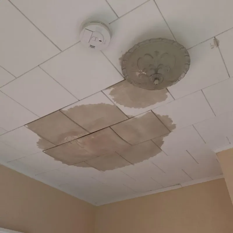Ceiling Water Damage Repair in Middleburg Heights, OH