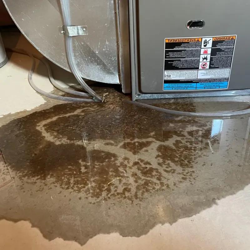 Pipe Burst and Leak Restoration in Middleburg Heights, OH