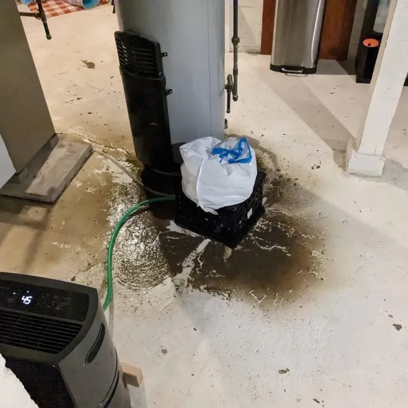 Sewage Backup Cleanup Service in Middleburg Heights, OH
